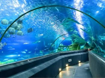 Viện hải dương học