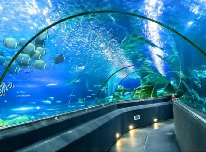 Viện hải dương học